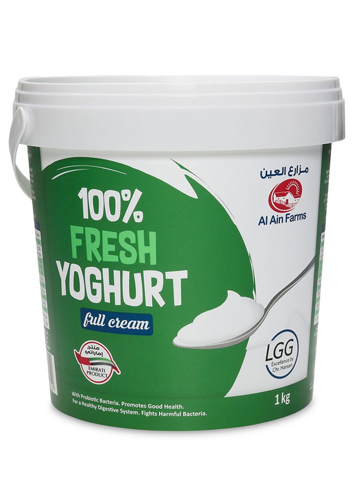 Full Cream Fresh Yogurt