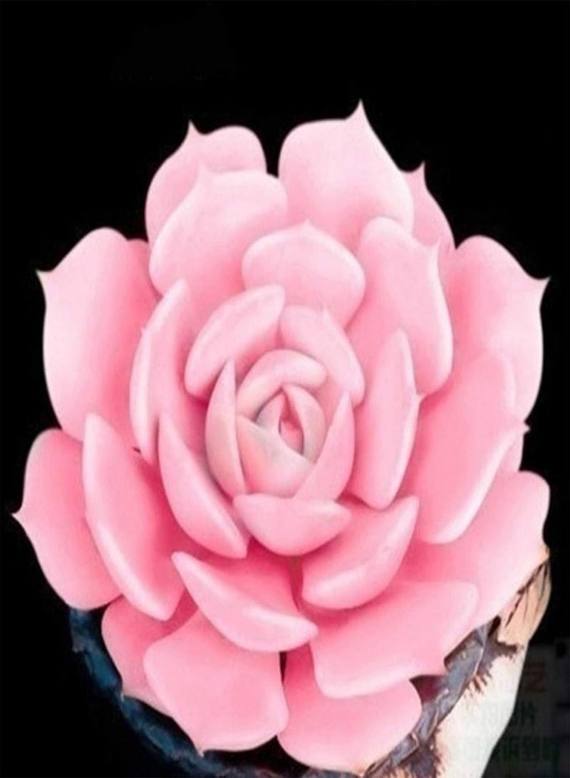 GGOOT Seed for Planting,100Pcs/Bag Succulent Seeds Mini Multi-use Temperature Sensitive Aesthetic Plant Seeds for Desktop Plant Seeds for Office-F - Image 4