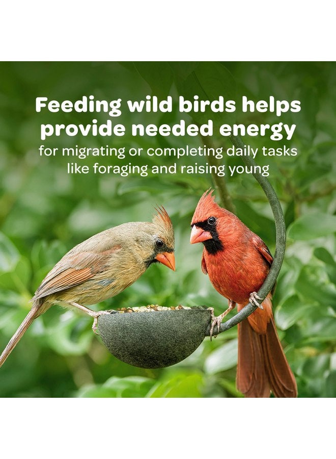 كايتي حلوى بذور الفاكهة والمكسرات من كايتي على شكل جرس - Image 4