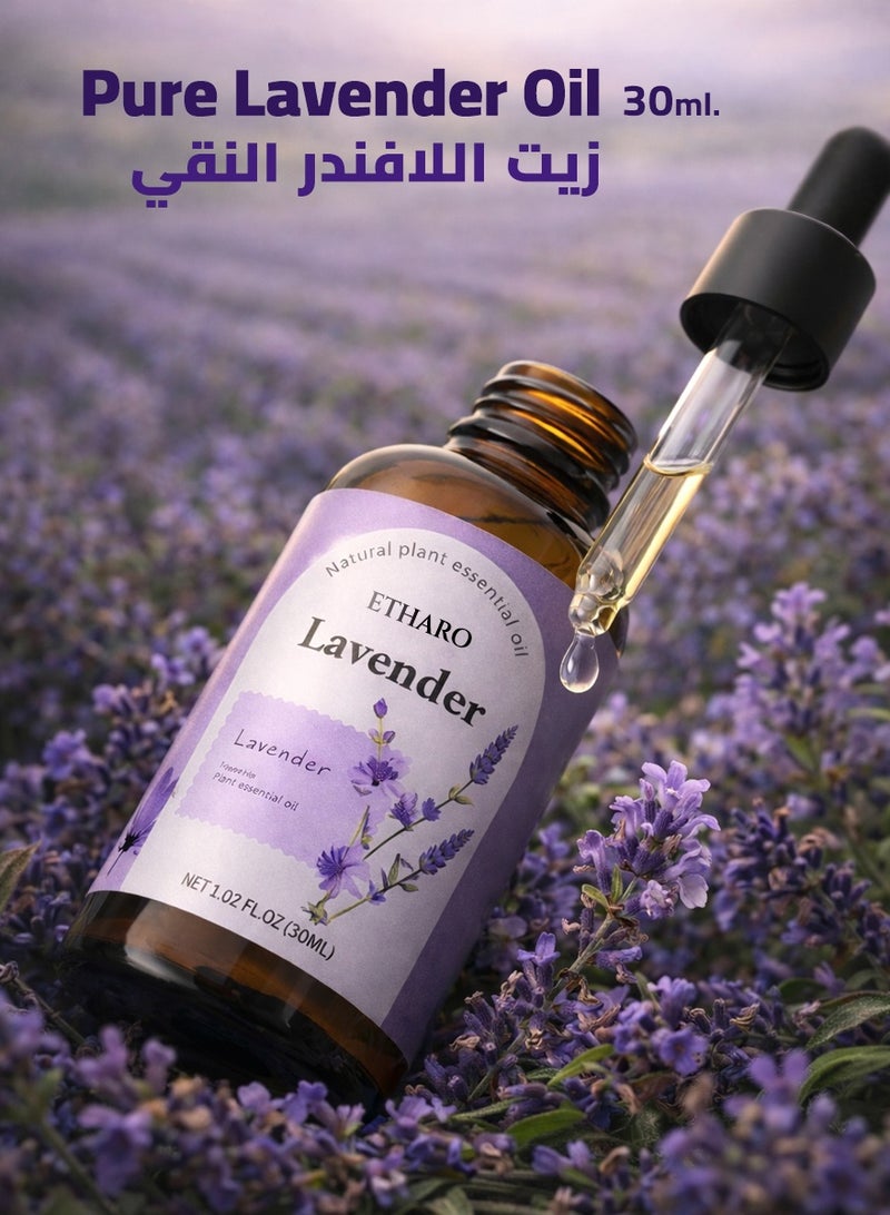ETHARO Lavender Essential Oil 30ml – Naturally Distilled Aromatic Oil with a Soft, Calming Floral Aroma for Relaxation & Peaceful Ambience - Image 1