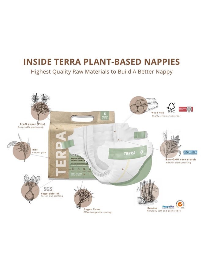 Terra حفاضات ووكر النباتية للأطفال، من 13 إلى 18 كجم، من 18 إلى 36 شهرًا، 16 قطعة، مقاس 5 - Image 3