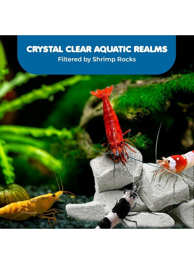 SunGrow Shrimp Rocks, Calcium, Magnesium Rocks for Crayfish, Hermit Crab, Snails, Crustacean Care, Aquarium Decor for Crystal Red, Amano and Ghost Shrimps, Nano Tank Accessories, Fish Tank Supplies - Image 5