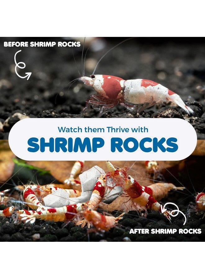 SunGrow Shrimp Rocks, Calcium, Magnesium Rocks for Crayfish, Hermit Crab, Snails, Crustacean Care, Aquarium Decor for Crystal Red, Amano and Ghost Shrimps, Nano Tank Accessories, Fish Tank Supplies - Image 4