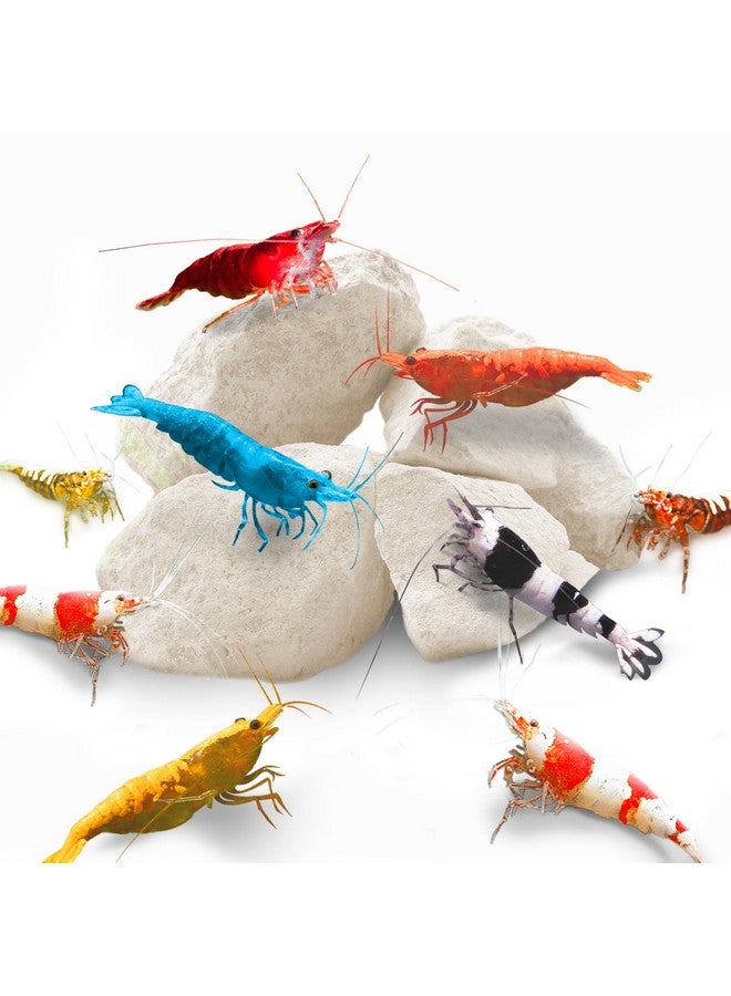 SunGrow Shrimp Rocks, Calcium, Magnesium Rocks for Crayfish, Hermit Crab, Snails, Crustacean Care, Aquarium Decor for Crystal Red, Amano and Ghost Shrimps, Nano Tank Accessories, Fish Tank Supplies - Image 1