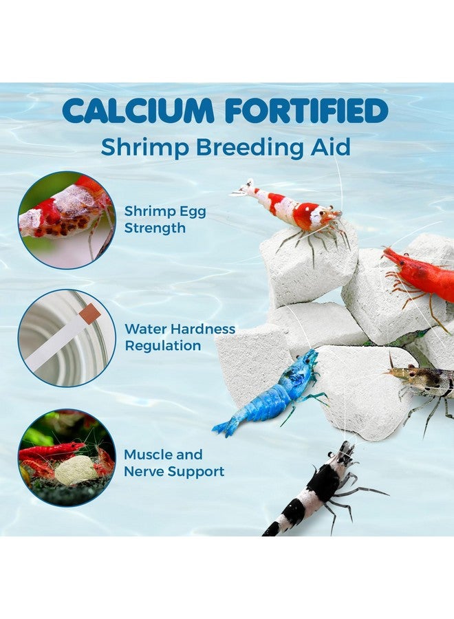 SunGrow Shrimp Rocks, Calcium, Magnesium Rocks for Crayfish, Hermit Crab, Snails, Crustacean Care, Aquarium Decor for Crystal Red, Amano and Ghost Shrimps, Nano Tank Accessories, Fish Tank Supplies - Image 3