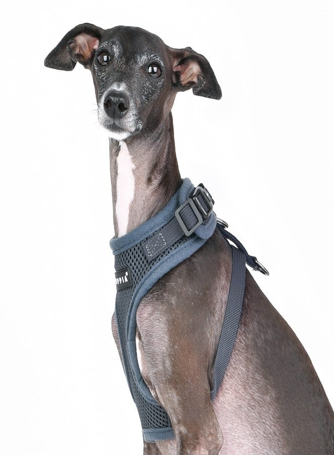 بوبيا سرج كلاب شبكي من Puppia RiteFit، يُلبس فوق الرأس، مناسب لجميع الفصول، يمنع الشد والاختناق، مناسب للمشي والتدريب، قابل للتعديل حول الرقبة والصدر، مناسب للكلاب الصغيرة والمتوسطة - رمادي - صغير - Image 4