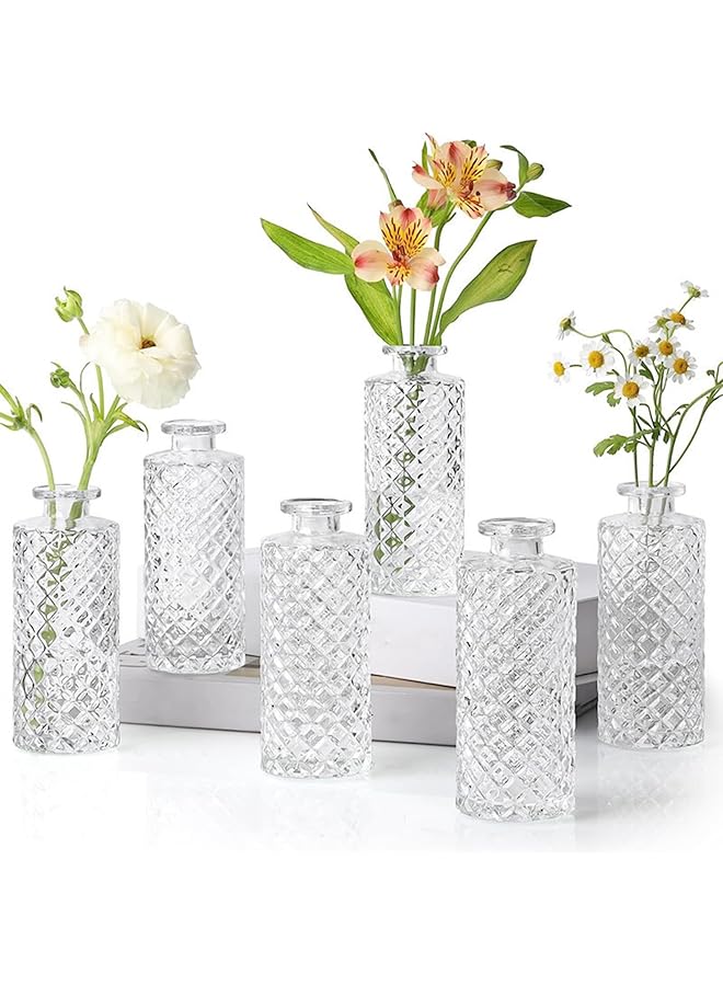The Bros Glass Bud Vases Set of 6, Small Imitation Diamond Bud Vases in Bulk, Mini Flowers Vases for Centerpieces, Vintage Bottle for Table Decorations, Wedding Decor, Recepetion, Home (Clear) - Image 1