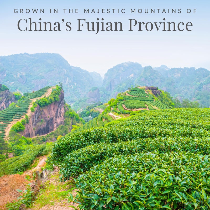 The Republic of Tea - Emperor's 100% White Tea, Zero Calorie, Sugar-Free, Carb-Free, 50 Tea Bag Tin - Image 3