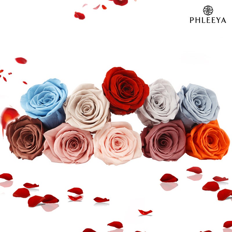 Eternal Flower Rose Flower Head Diy Material 4-5Cm8 Finished Bouquet Gift High Sense Dried Flowers Flowers - Image 3