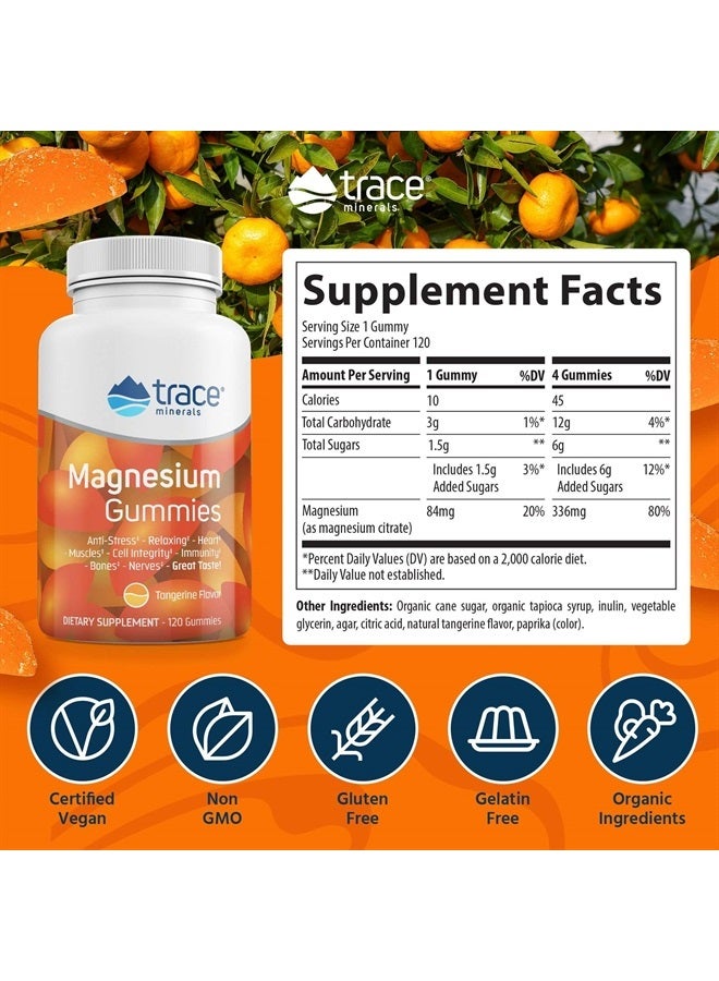 Trace Minerals I Magnesium Gummies (120 Ct) Low Sugar | for Kids & Adults | Tangerine - Image 3