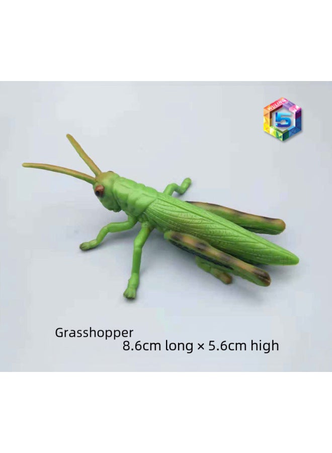 Simulation Animal Insect Model Cognitive Toy Spider Butterfly Bee Cockroach Caterpillar And Other Animal Model Toy-Color:657 Unicorn Fairy  - Image 3