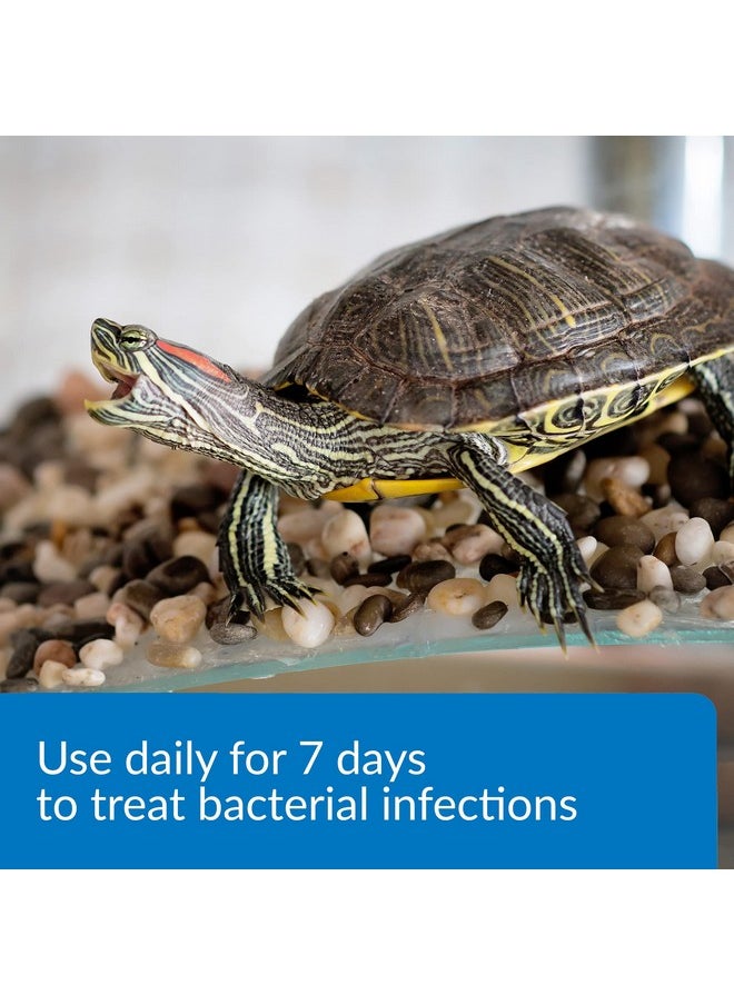 API API TURTLE FIX Nonbacilli Turtle Remedy 4-Ounce Bottle  - Image 2