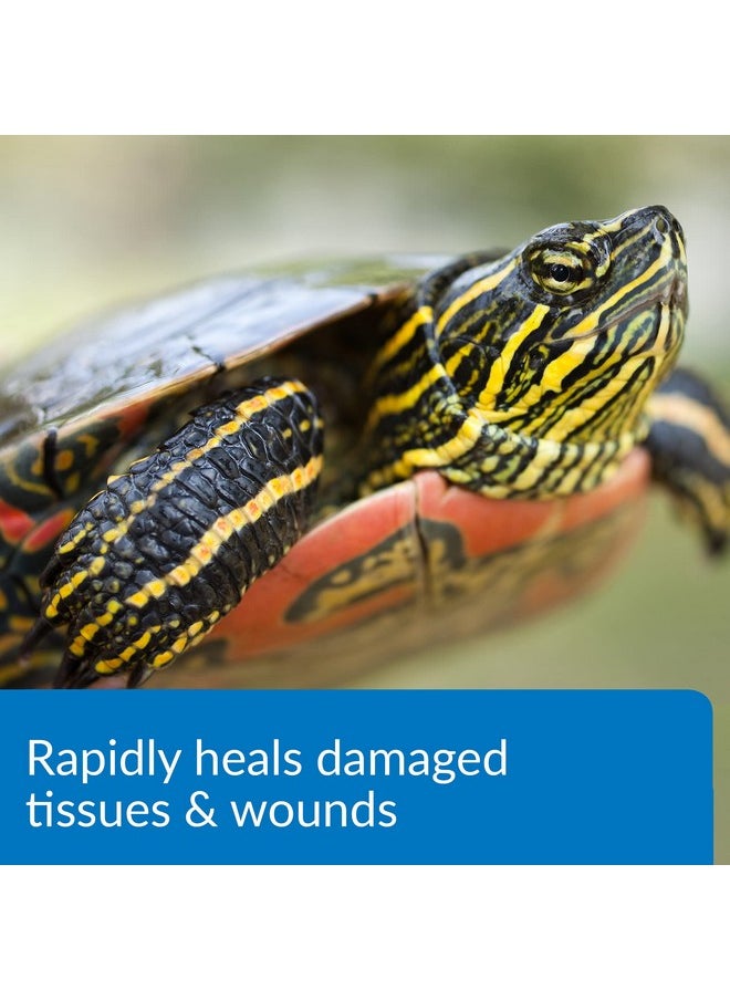 API API TURTLE FIX Nonbacilli Turtle Remedy 4-Ounce Bottle  - Image 3