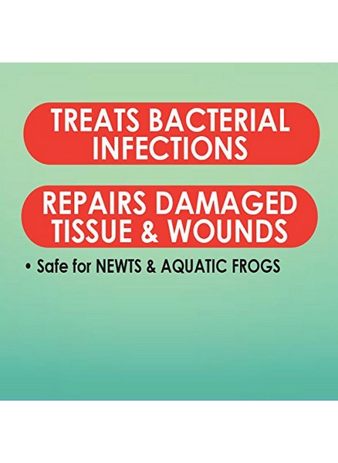 API API TURTLE FIX Nonbacilli Turtle Remedy 4-Ounce Bottle  - Image 5