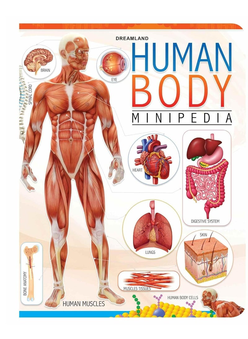 Human Body Minipedia - Image 1