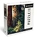 Lantern Press Redwood National Park California Sunlit Trees 1000 Piece Jigsaw Puzzle for Adults Made in USA with Reference Poster - Image 2