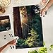 Lantern Press Redwood National Park California Sunlit Trees 1000 Piece Jigsaw Puzzle for Adults Made in USA with Reference Poster - Image 4