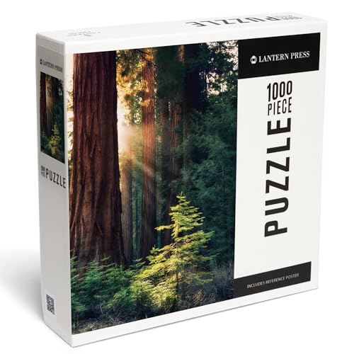 Lantern Press Redwood National Park California Sunlit Trees 1000 Piece Jigsaw Puzzle for Adults Made in USA with Reference Poster - Image 1
