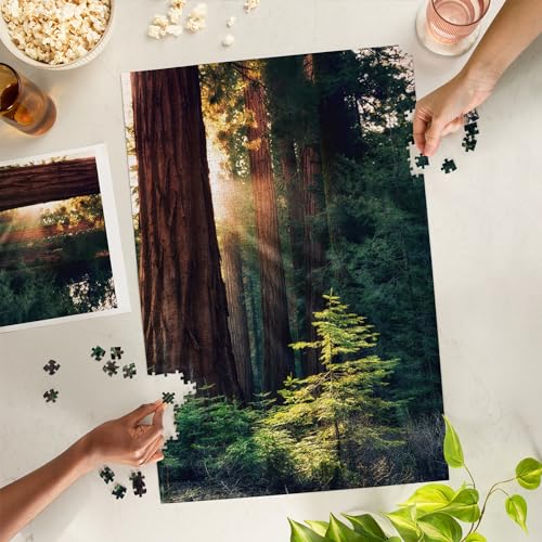 Lantern Press Redwood National Park California Sunlit Trees 1000 Piece Jigsaw Puzzle for Adults Made in USA with Reference Poster - Image 5