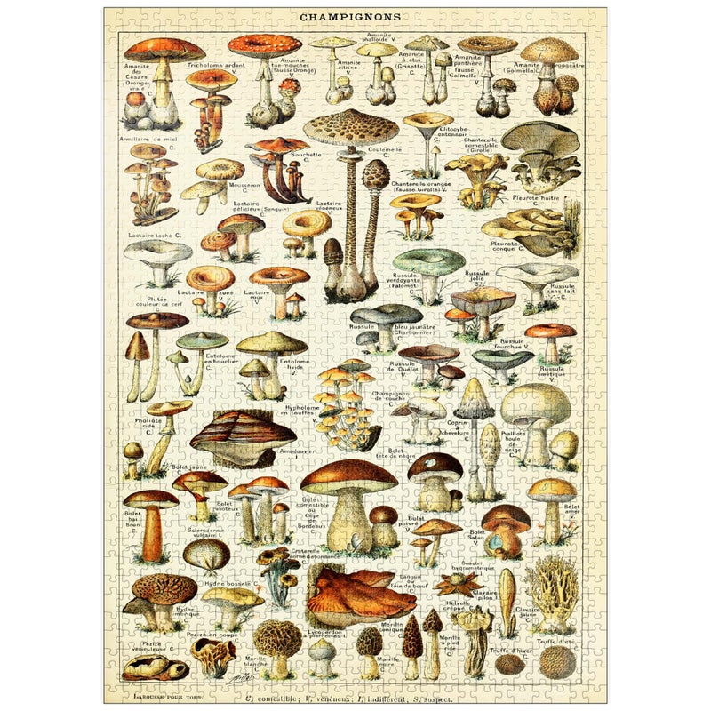 MyPuzzle Champignons Mushrooms for All Vintage Art Poster Adolphe Millot Premium 1000 Piece Jigsaw Puzzle for Adults