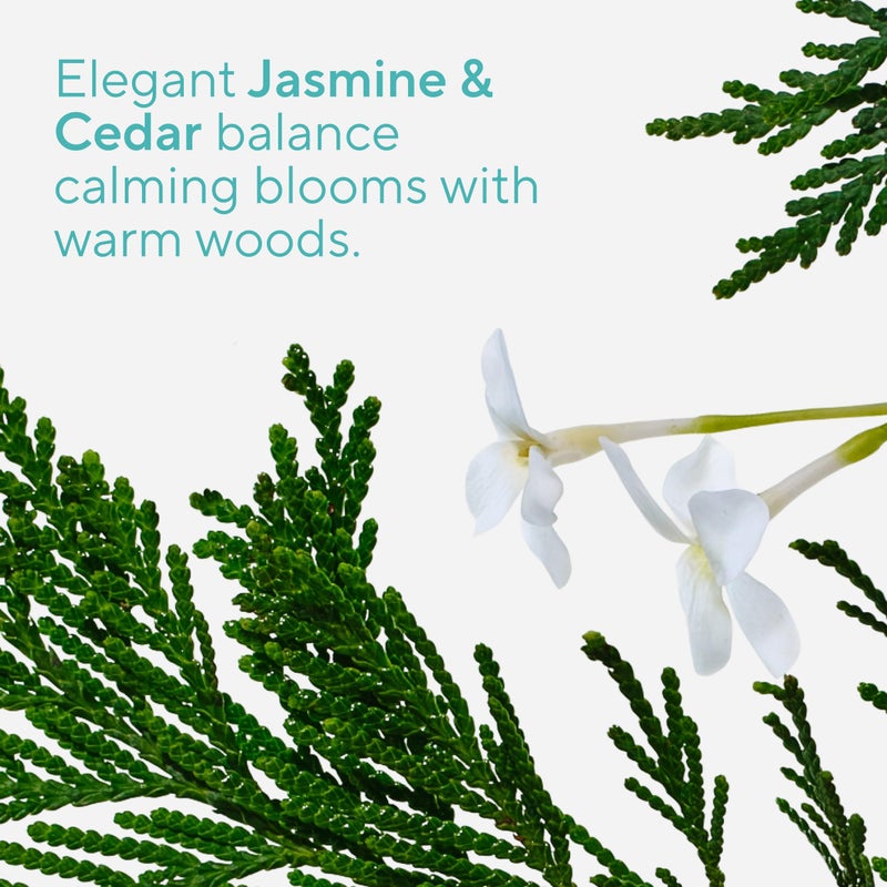 Native Jasmine & Cedar Deodorant 2.65oz - Image 3