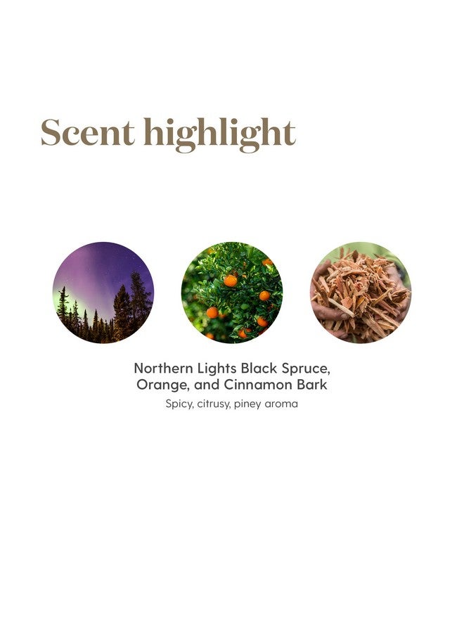 Young Living Christmas Spirit 5 Ml - Festive Aroma For Holiday Delight - Orange, Cinnamon Bark, Spruce Blend - Uplifting Ambiance, Travel Essential Oil - Image 4