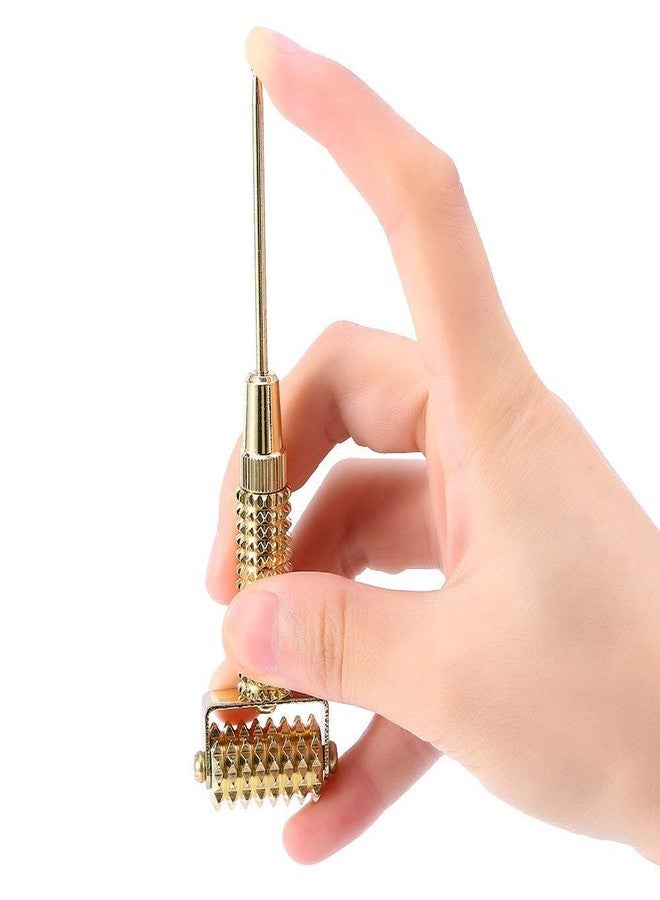 أيه أتش سي أس أداة تدليك الأذن التشخيصية من نوع AHCS Sujok، مزودة ببذور الفاكاريا (60 قطعة) - Image 2