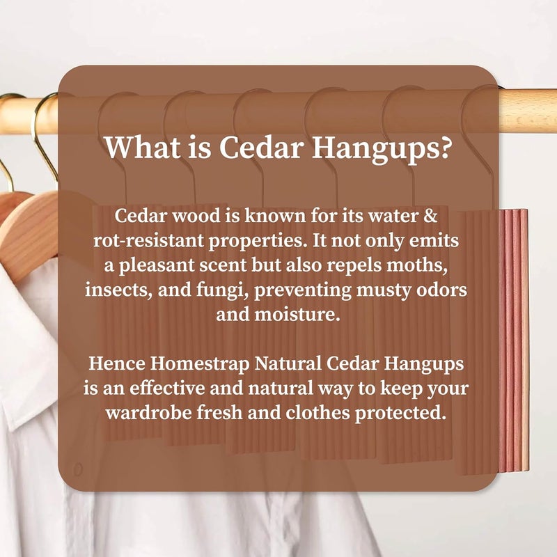 HomeStrap Homestrap Natural Cedar Air Freshener HangUps Pack of 5Hangers Removes Odours and Prevents Pests and MoldCedar Block Hangups for Wardrobe  - Image 3