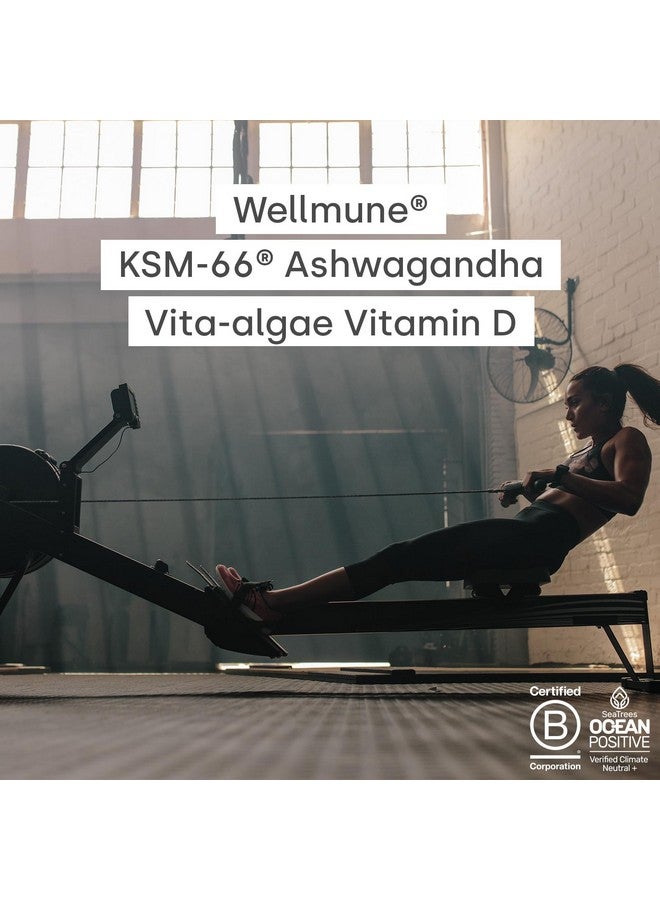 Form  Peakblend - Vegan Meal Replacement | High Protein & Fiber | 26 Vitamins & Minerals | No Artificial Flavors, No Artificial Sweeteners |13 Servings - 1.3Kg (Chocolate Peanut) - Image 4