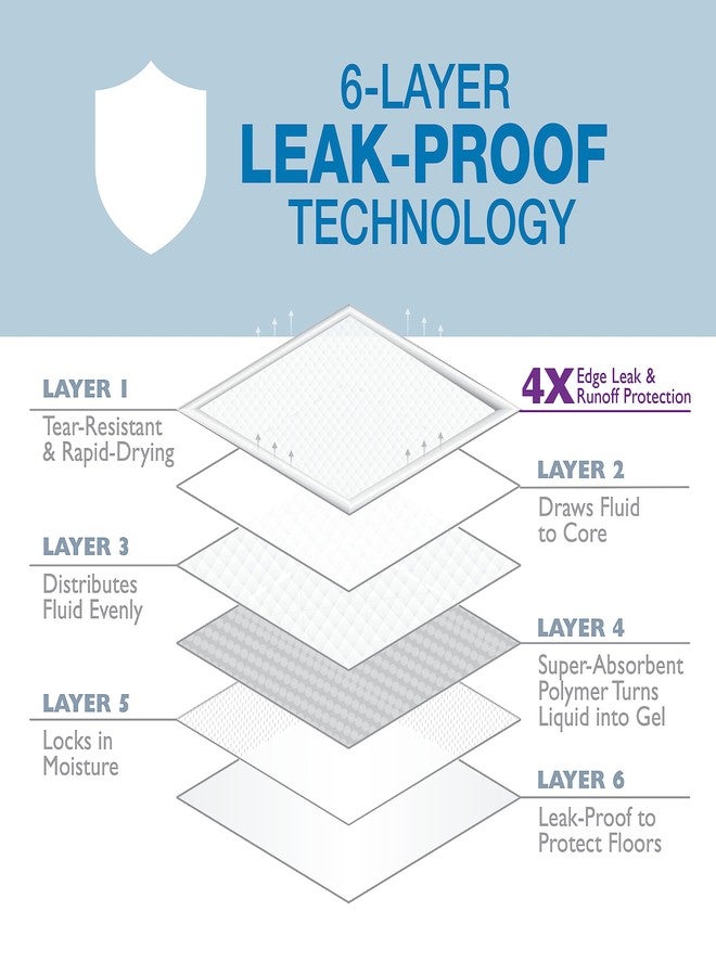 فور باوز وسادة فور باوز وي-وي إنستا-رايز الحدودية - Image 5