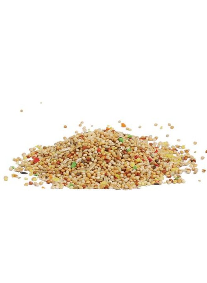 طعام الطيور للببغاوات، مزيج غذاء بذور الطيور طبيعي وصحي، مضاف إليه فيتامين، غذاء طيور مغذي، 2 كجم - Image 2
