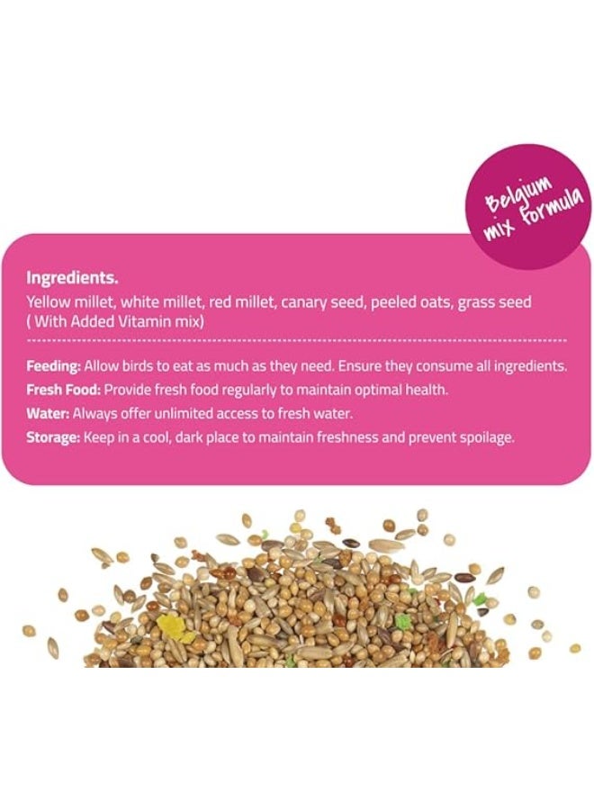 طعام الطيور للببغاوات، مزيج غذاء بذور الطيور طبيعي وصحي، مضاف إليه فيتامين، غذاء طيور مغذي، 2 كجم - Image 4