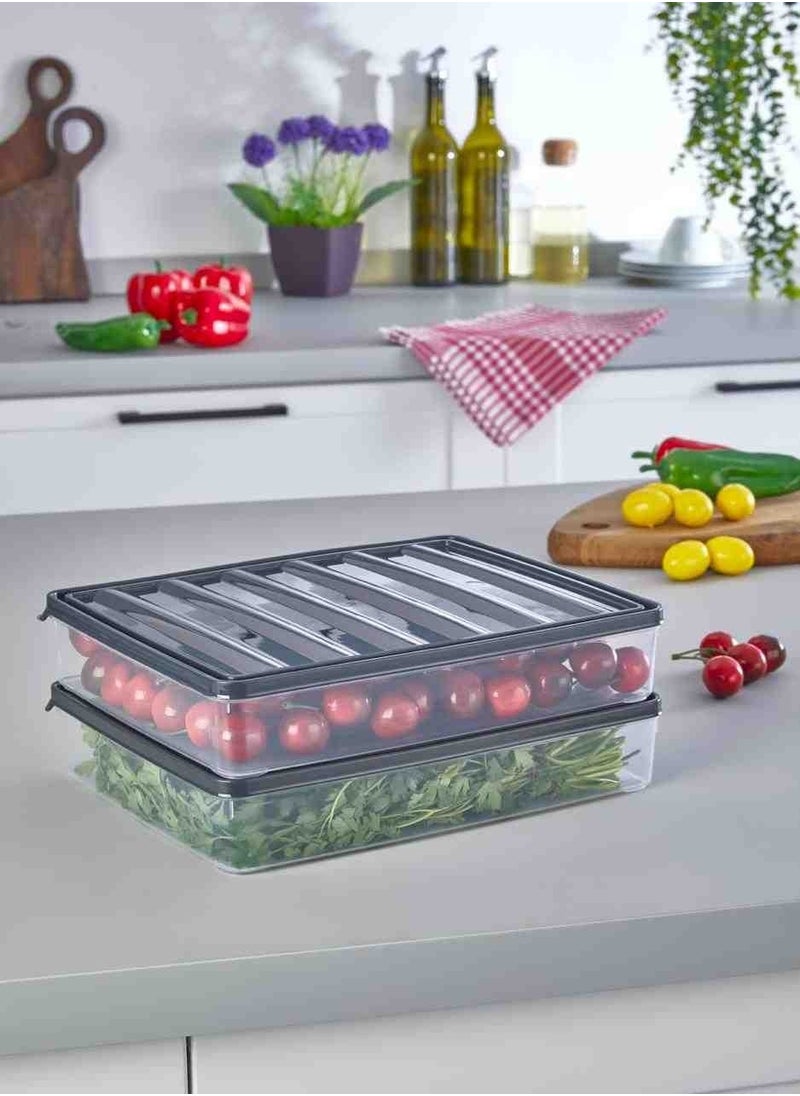 Vzn - Storage container horizontal lid refrigerator ice cube storage container ice cube organizer refrigerator organizer - Image 1
