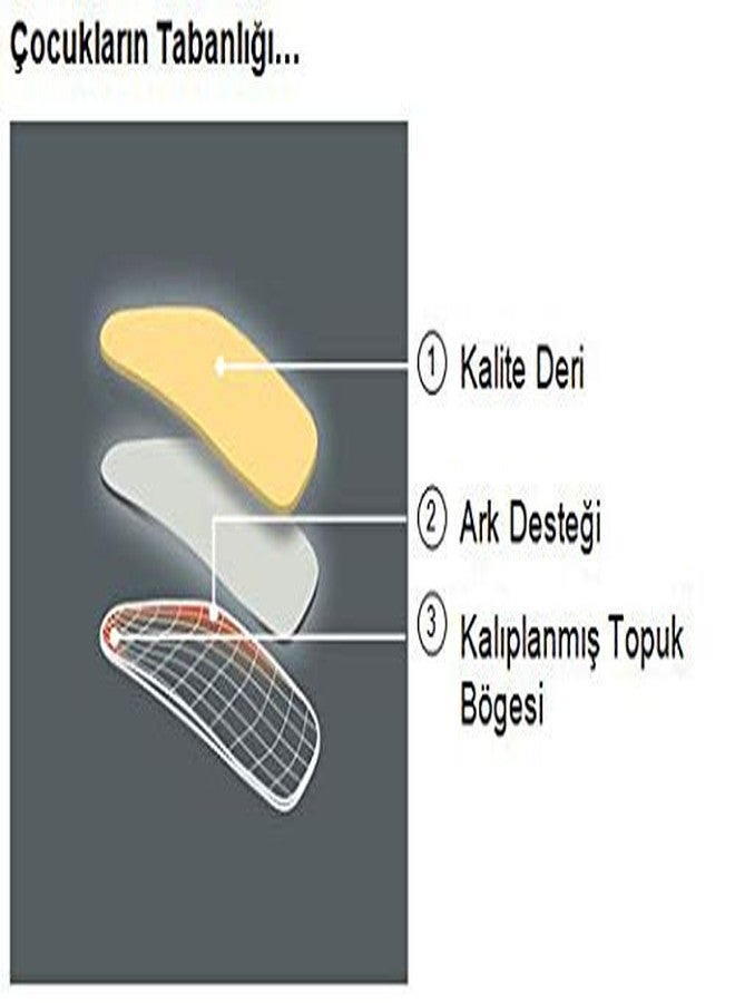 Pedag Bambini, German Made 3/4 Children's Orthotic Insole, Vegetable Tanned Leather, Size Big Kid 4/5L, EU 34-35 - Image 5