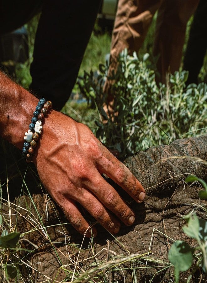 Fahlo Elephant Tracking Bracelet – Track a Real Elephant’s Journey – Supports Save the Elephants – Elastic, One Size Fits Most – on Interactive Mobile App Map – Unisex Conservation Gift (River Blue) - Image 2