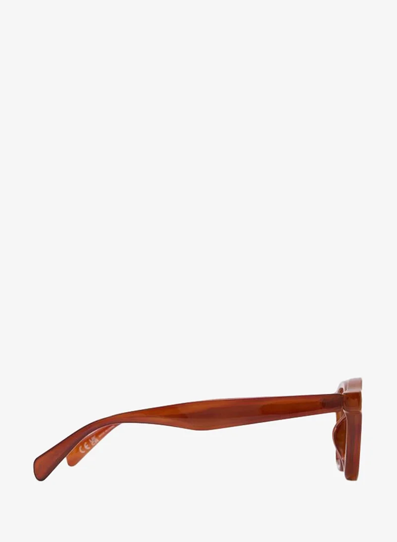 Aldo Dexterr Men Brown Sunglass