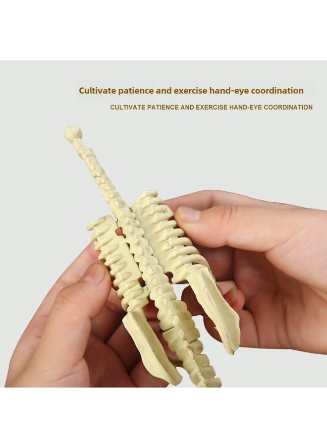 Archaeological Mining Toys Dinosaur Fossil Gem Treasure Hunting Mermaid Children's Handmade DIY Production Treasure Collection Toys-Color:Large Raptor Field Mining Version Without Box Tools