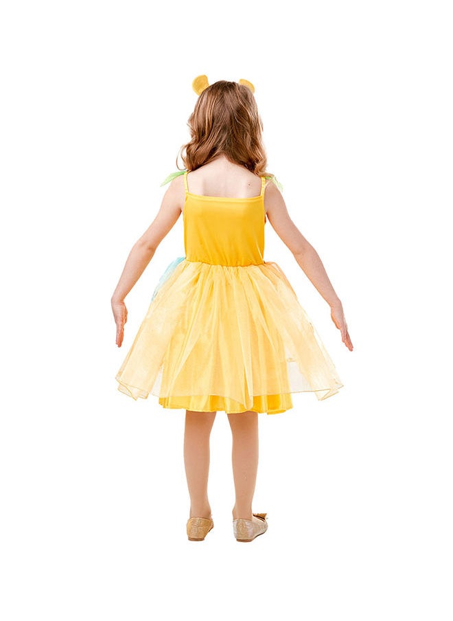 Rubies Costume - Official Disney The Lion King, Simba Lion Tutu Dress, Animal Fancy Dress Childs Size Small Age- 3-4, Multicolour - Image 1