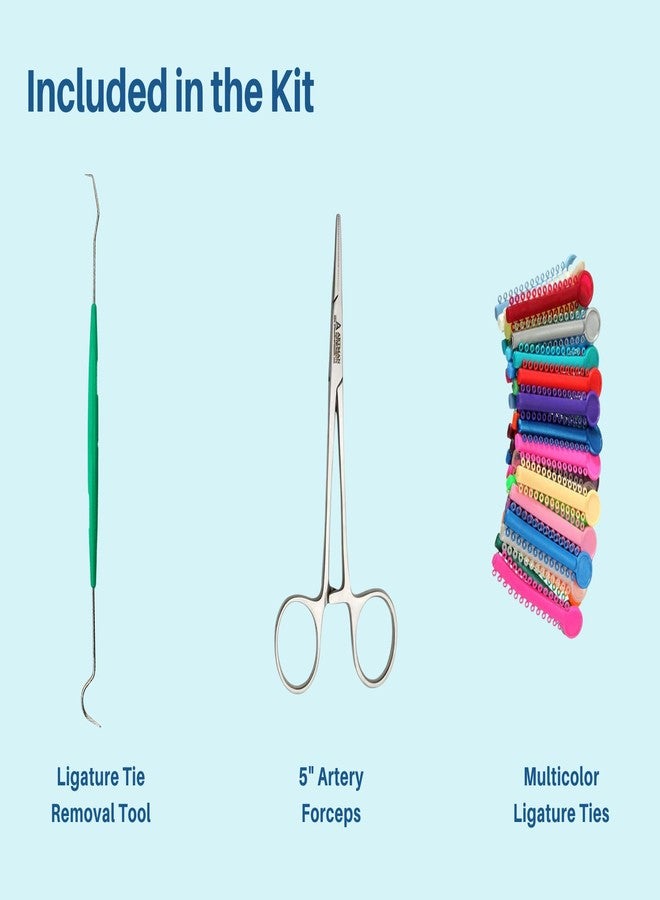 Artman Instruments Ligas para Brackets Ortodoncia Dental braces color changing kit orthodontic Dental Ligature Ties for Brackets Change Braces Color Easily DIY Braces Color Kit 1040pcs - Image 3
