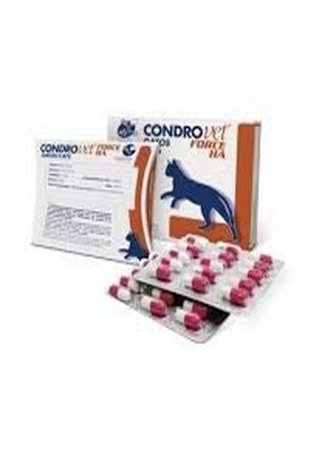 Star Magic Condrovet Force HA Joint Care Tablets for Pets Pack of 30 - Image 2