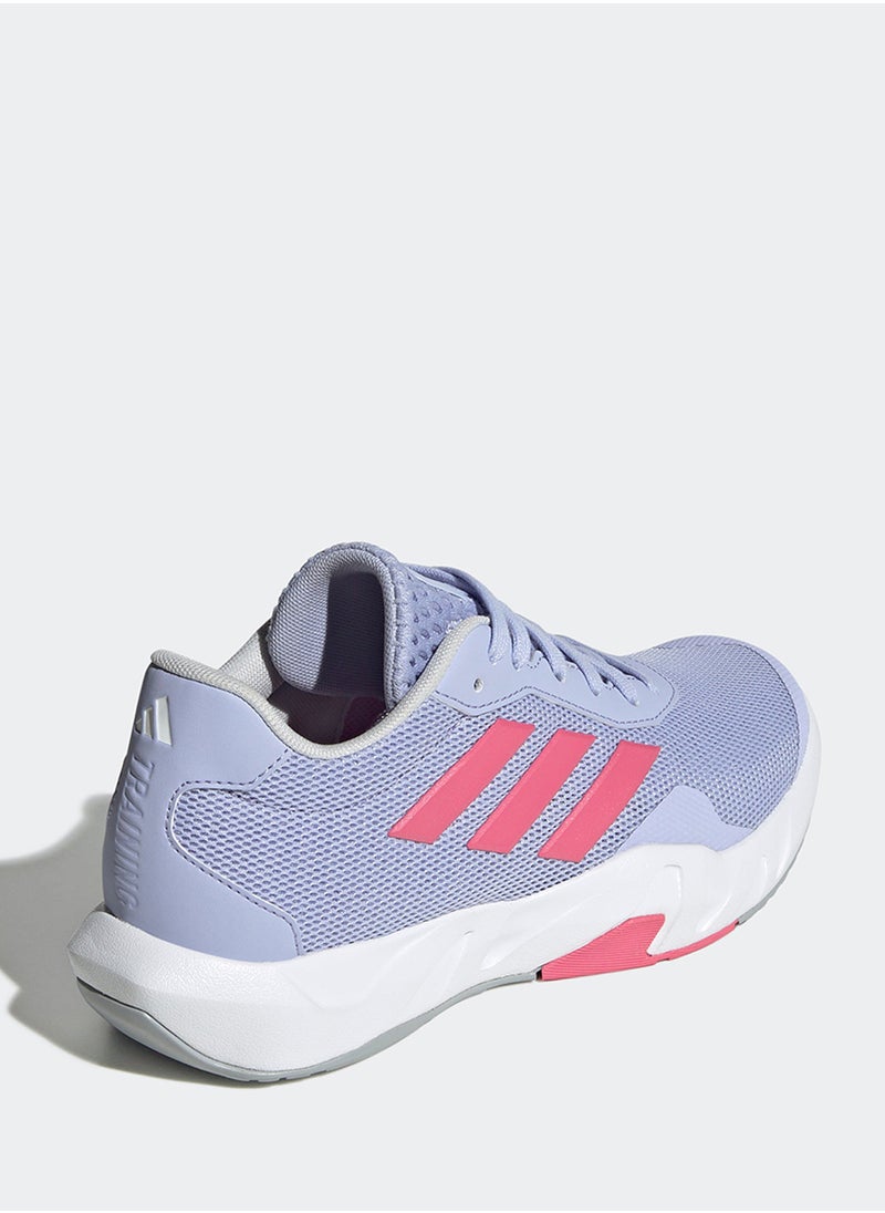 Amplimove Trainer