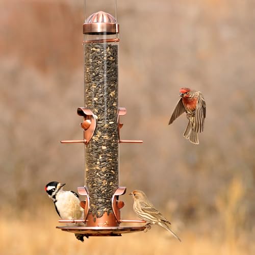 Perky-Pet 385-2 2-in-1 Wild Bird Feeder - Image 4