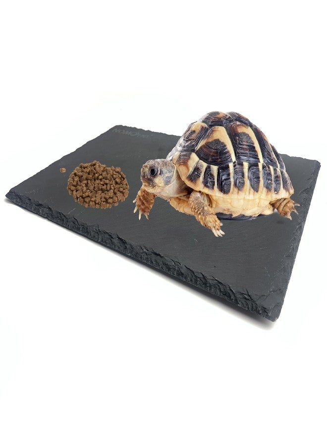SHIGATSU Reptile Basking Platform Rock, Reptile Food Bowl, Tortoise Slate Feeding Dish, Resting Terrace, Reptile Substrate Mat, for Turtle Lizard Bearded Dragon Crested Gecko Snake（7.9”x11.8”） - Image 1