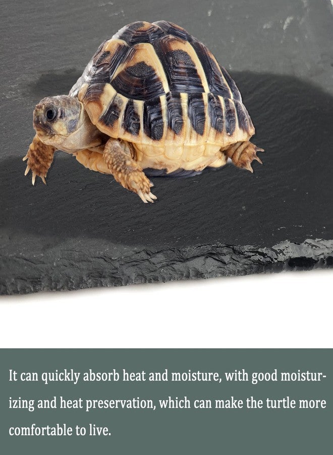 SHIGATSU Reptile Basking Platform Rock, Reptile Food Bowl, Tortoise Slate Feeding Dish, Resting Terrace, Reptile Substrate Mat, for Turtle Lizard Bearded Dragon Crested Gecko Snake（7.9”x11.8”） - Image 3