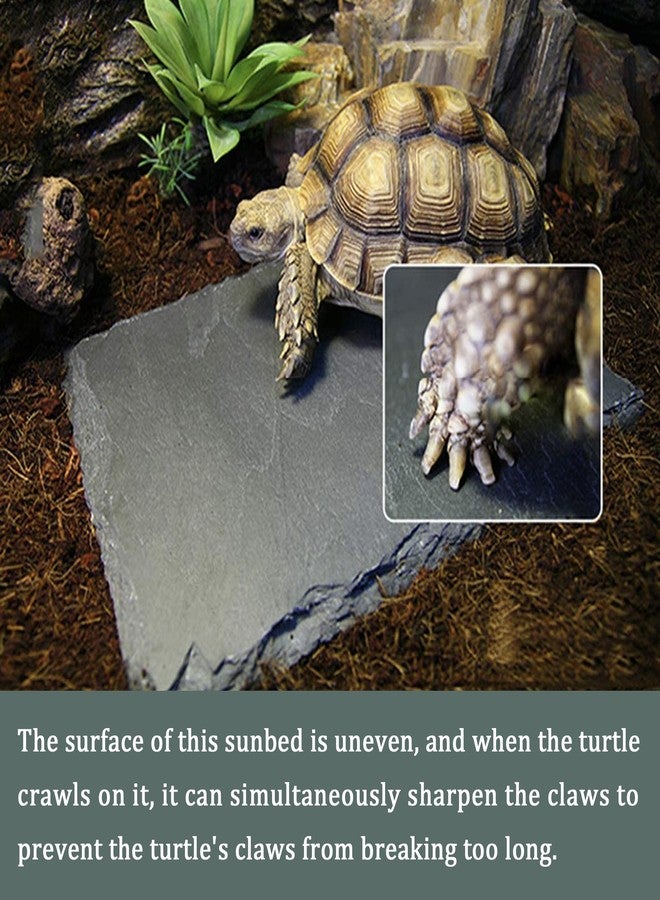SHIGATSU Reptile Basking Platform Rock, Reptile Food Bowl, Tortoise Slate Feeding Dish, Resting Terrace, Reptile Substrate Mat, for Turtle Lizard Bearded Dragon Crested Gecko Snake（7.9”x11.8”） - Image 5