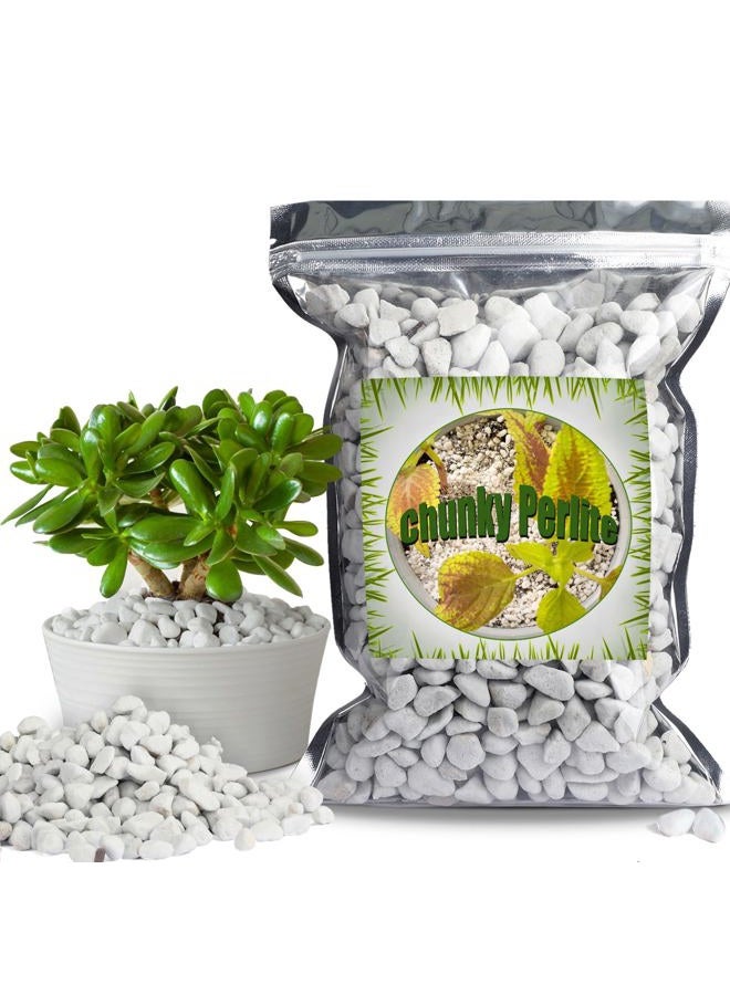 Doter Organic Chunky Perlite for Plants (0.4"-0.8" in Diameter), Natural Horticultural Soil Additive Conditioner Mix, Improve Drainage and Ventilation, Enhance Soil Health and Root Growth (1 Quart) - Image 1