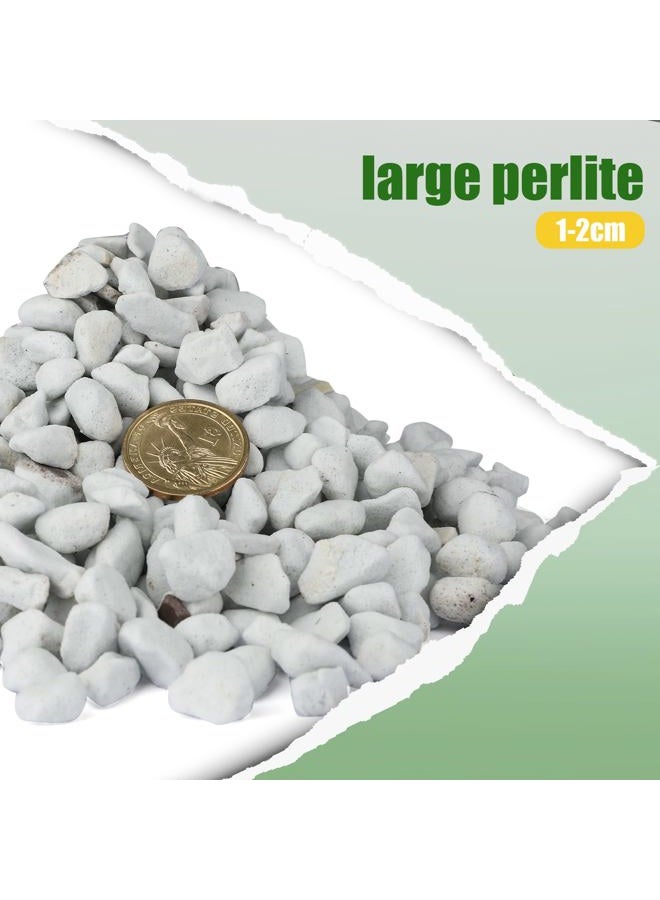 Doter Organic Chunky Perlite for Plants (0.4"-0.8" in Diameter), Natural Horticultural Soil Additive Conditioner Mix, Improve Drainage and Ventilation, Enhance Soil Health and Root Growth (1 Quart) - Image 2