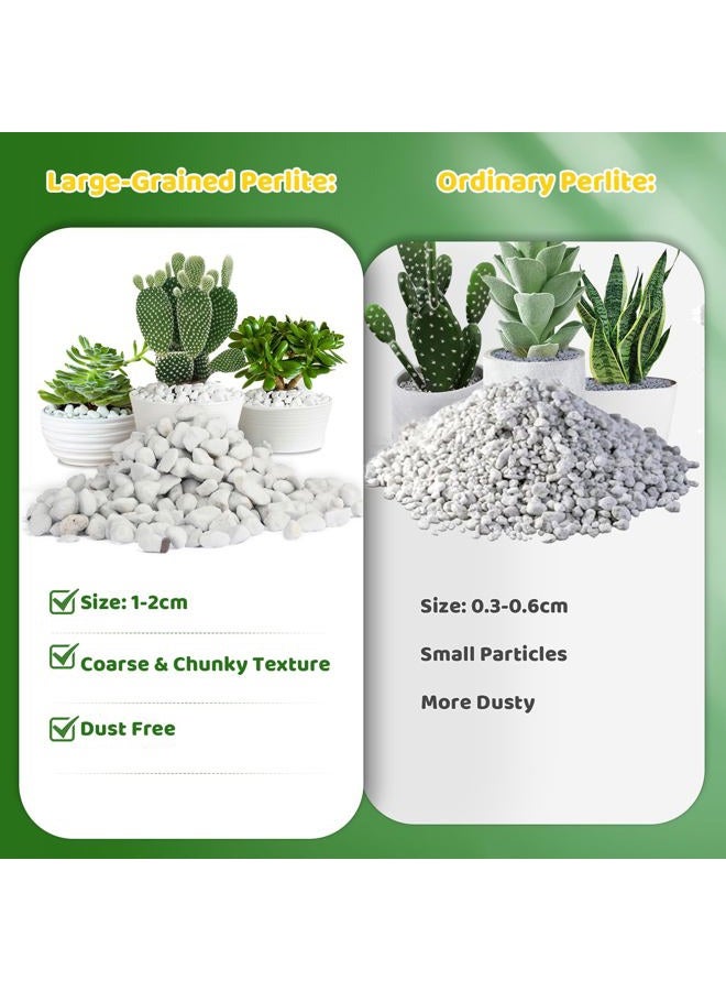 Doter Organic Chunky Perlite for Plants (0.4"-0.8" in Diameter), Natural Horticultural Soil Additive Conditioner Mix, Improve Drainage and Ventilation, Enhance Soil Health and Root Growth (1 Quart) - Image 3