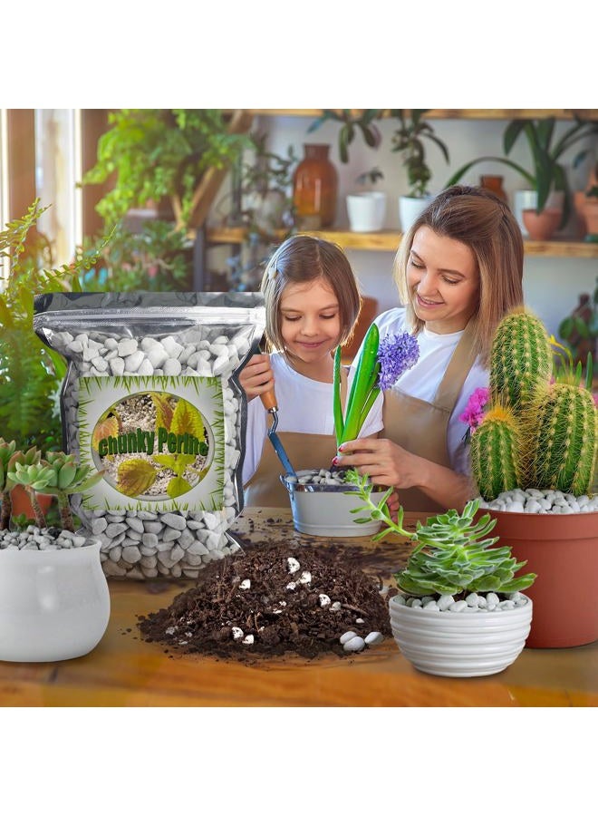 Doter Organic Chunky Perlite for Plants (0.4"-0.8" in Diameter), Natural Horticultural Soil Additive Conditioner Mix, Improve Drainage and Ventilation, Enhance Soil Health and Root Growth (1 Quart) - Image 5