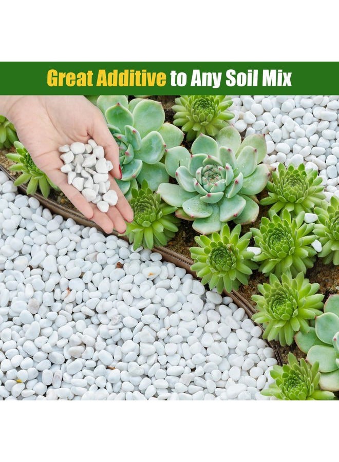Doter Organic Chunky Perlite for Plants (0.4"-0.8" in Diameter), Natural Horticultural Soil Additive Conditioner Mix, Improve Drainage and Ventilation, Enhance Soil Health and Root Growth (1 Quart) - Image 4